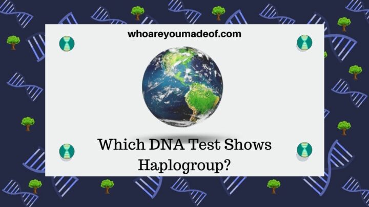 Which DNA Test Shows Haplogroup (1)