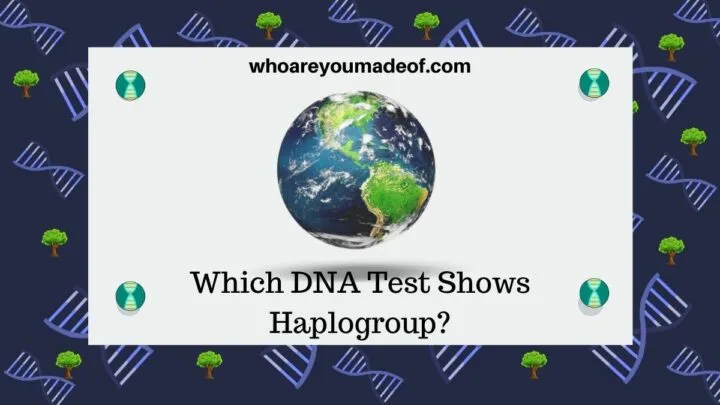Which DNA Test Shows Haplogroup (1)