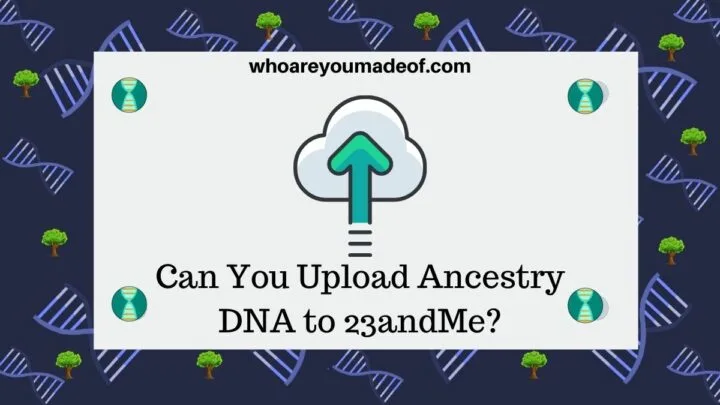 Can You Upload Ancestry DNA to 23andMe?