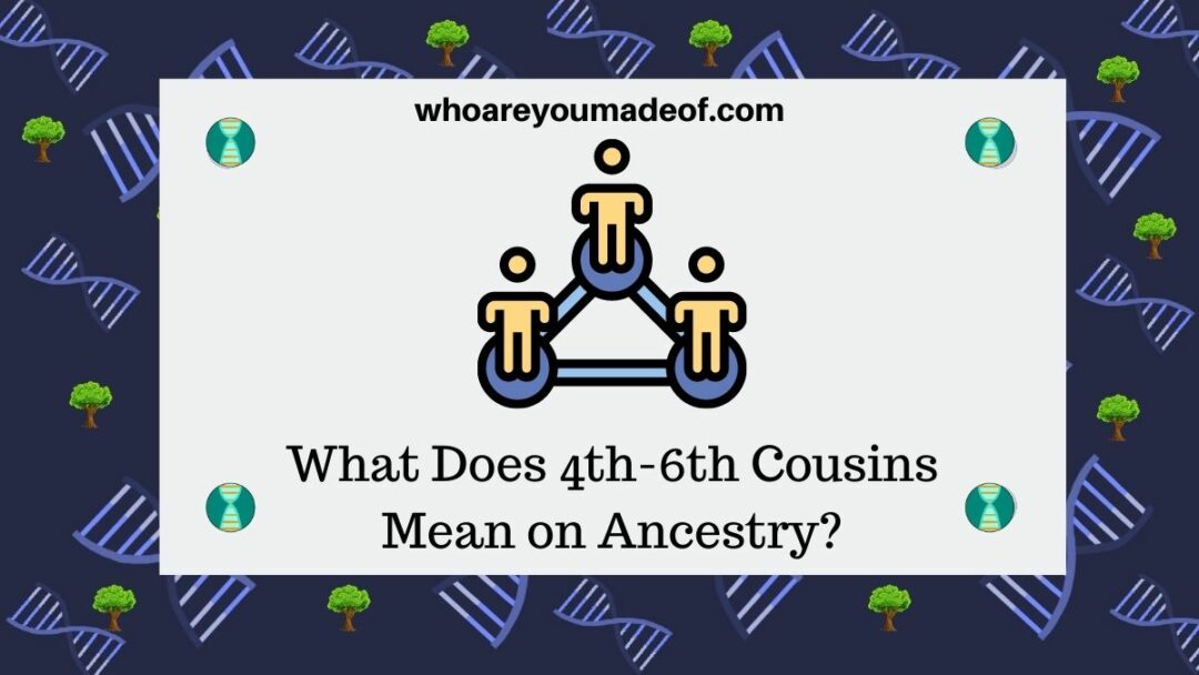What Does 4th6th Cousin Mean on Ancestry? Who are You Made Of?