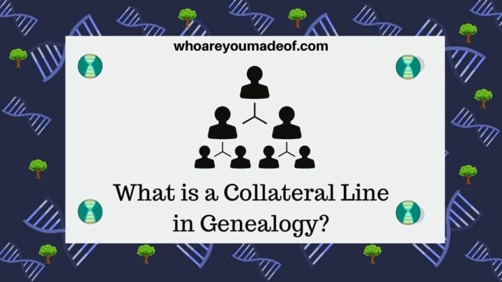 What is a Collateral Line in Genealogy?