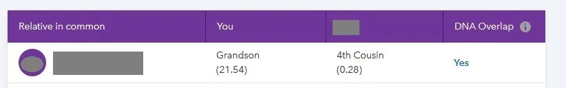 This image shows that the DNA tester shares 21.54% of their DNA with the match in common (estimated to be a grandson), while the DNA match shares .28% of their DNA with the shared match.  In addition, it shows that there is overlap in their shared segments