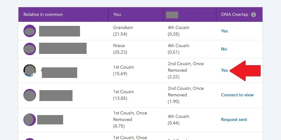 Screen capture from relatives in common, showing that two of the top five Relatives in Common share identical DNA segments at the same location on the same chromosome 