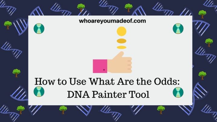 How-to-Use-What-Are-the-Odds-DNA-Painter-Tool
