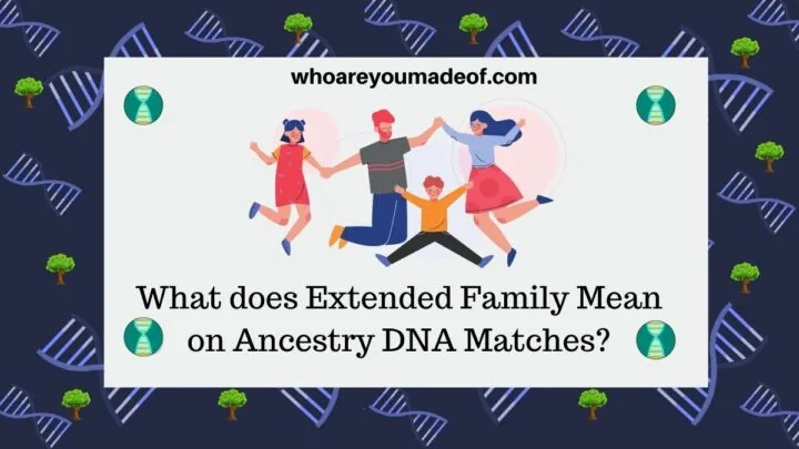 What does Extended Family Mean on Ancestry DNA Matches