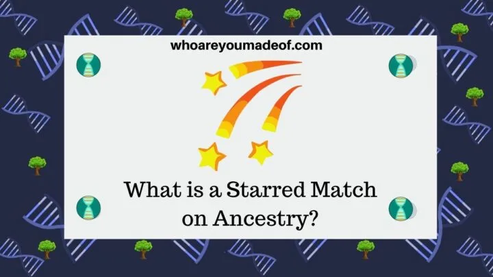 What is a Starred Match on Ancestry?