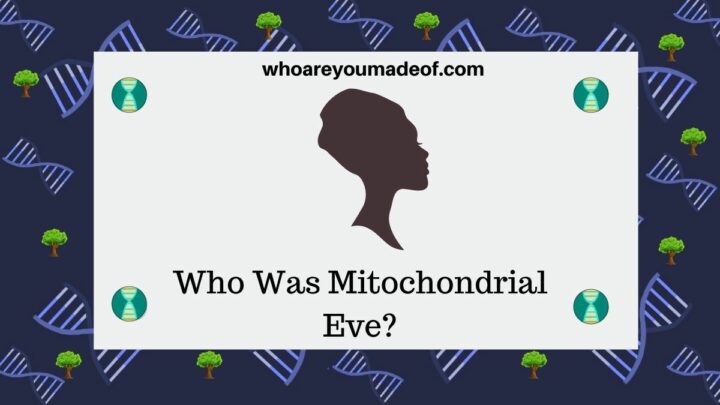 Who Was Mitochondrial Eve