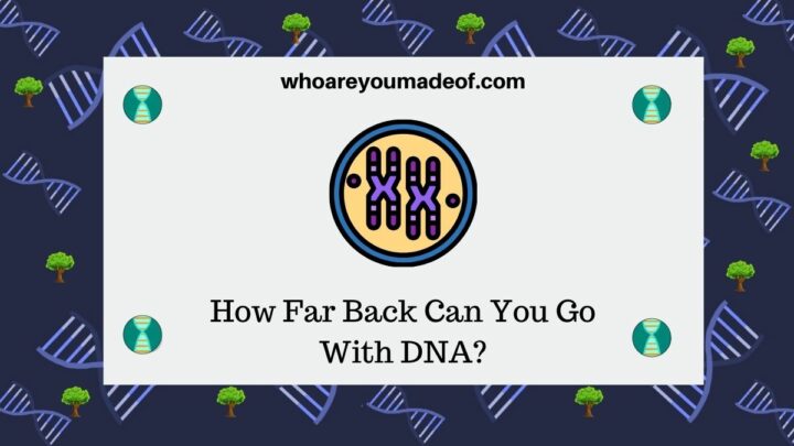 How Far Back Can You Go With DNA?