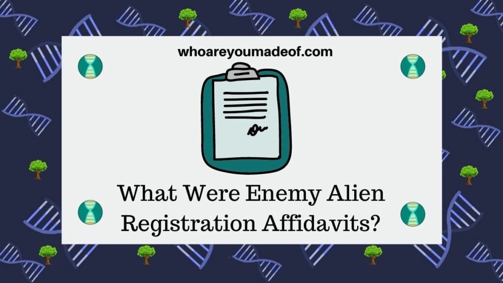 What Were Enemy Alien Registration Affidavits
