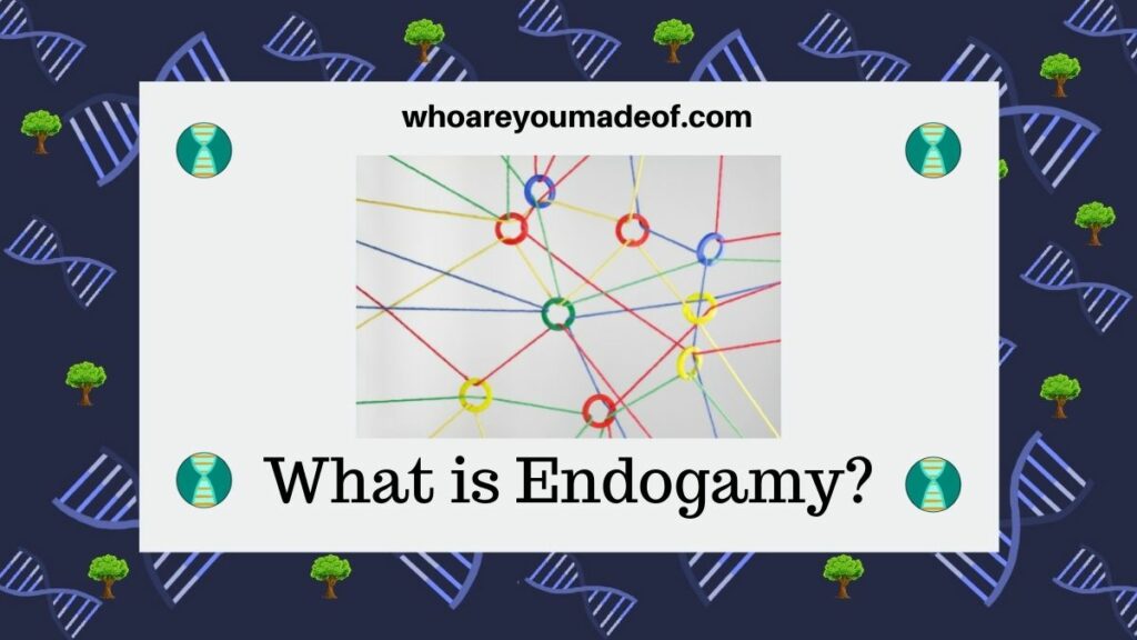 What is Endogamy