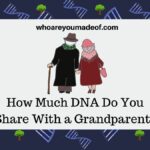 How Much DNA Do You Share With a Grandparent