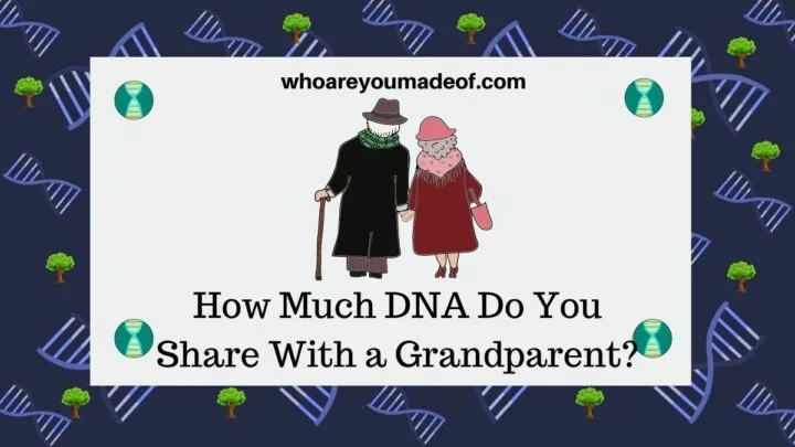 How Much DNA Do You Share With a Grandparent