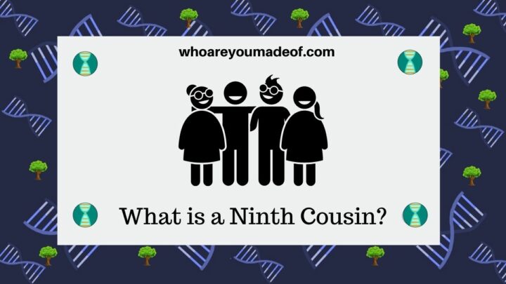 what-is-a-ninth-cousin-who-are-you-made-of