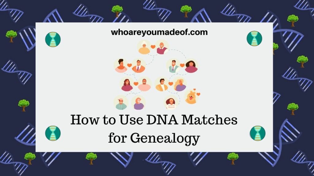 How to Use DNA Matches for Genealogy