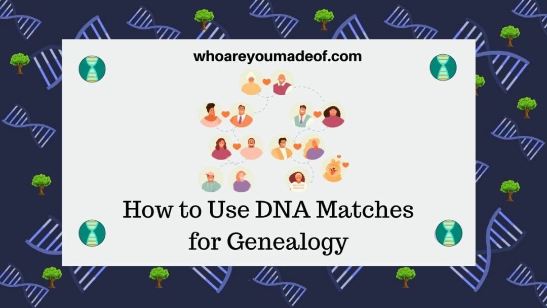 How To Use DNA Matches For Genealogy - Who Are You Made Of?