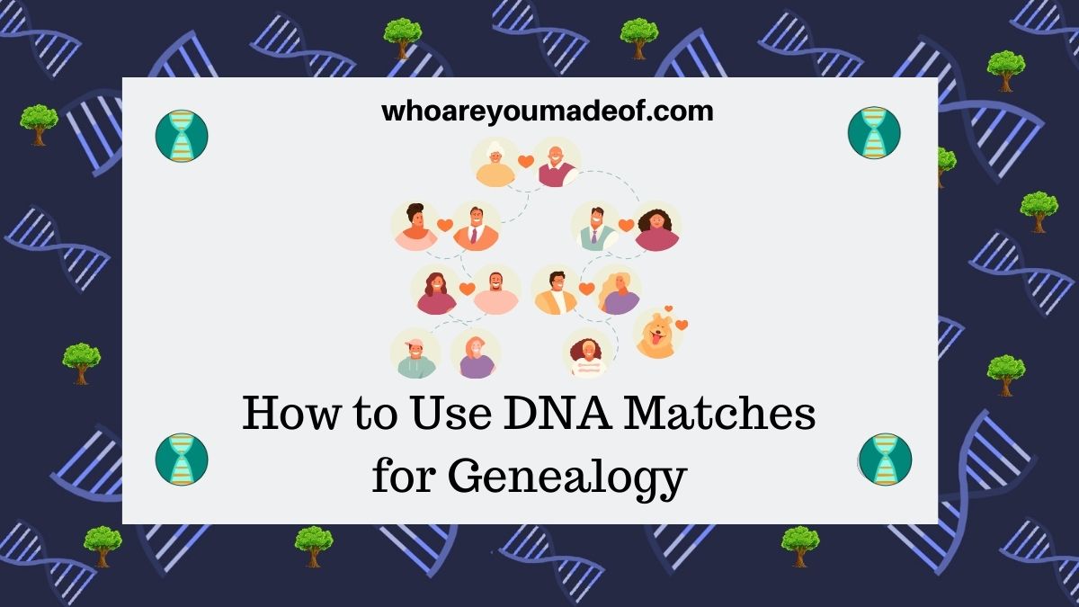 Dna Mathcing How to Use DNA Matches for Genealogy - Who are You Made Of?