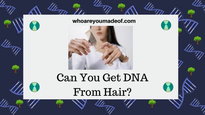 Can You Get DNA From Hair?