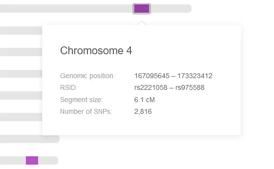 Example of shared DNA segment on Chromosome 4 on My Heritage
