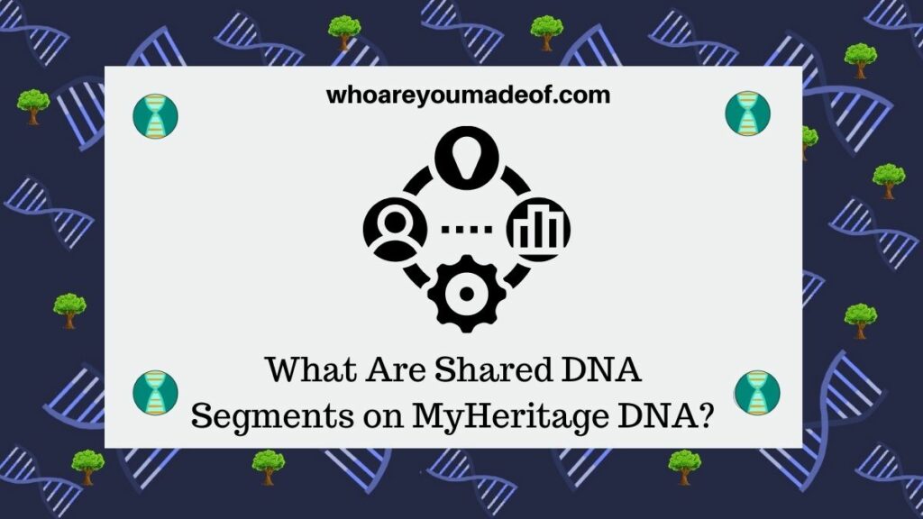 What Are Shared DNA Segments on MyHeritage DNA