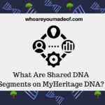 What Are Shared DNA Segments on MyHeritage DNA