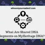 What Are Shared DNA Segments on MyHeritage DNA