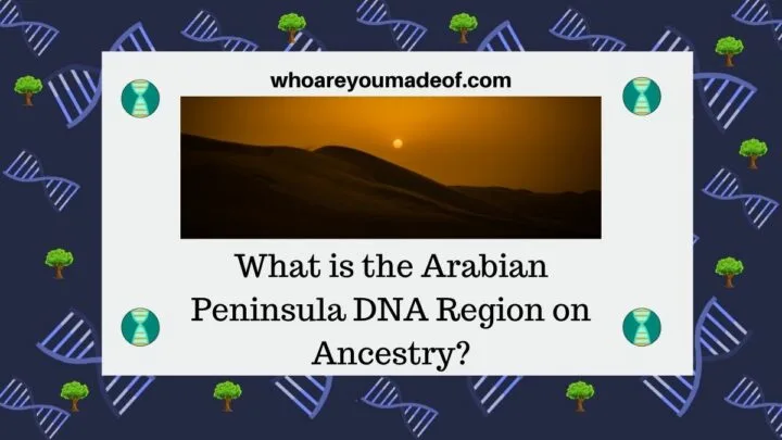 What is the Arabian Peninsula DNA Region on Ancestry(1)