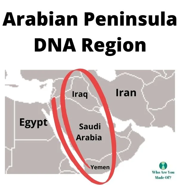 Where is the Arabian Peninsula DNA Region located?
