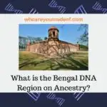 What is the Bengal DNA Region on Ancestry