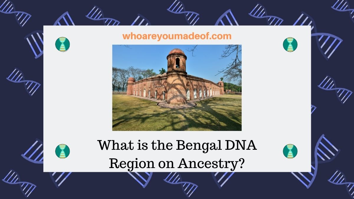 What Is The Bengal Dna Region On Ancestry Who Are You Made Of
