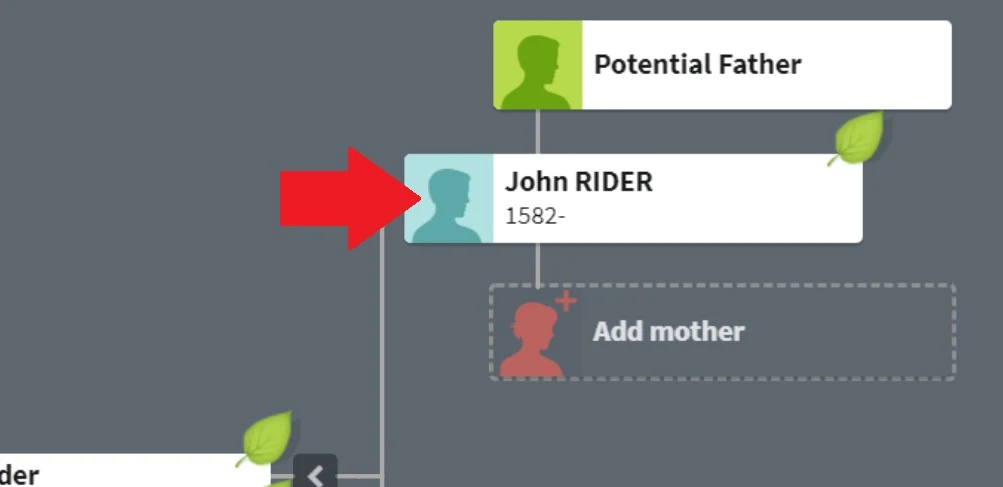 Red arrow points to someone in my tree that I would like to delete who appears in the pedigree view of my tree