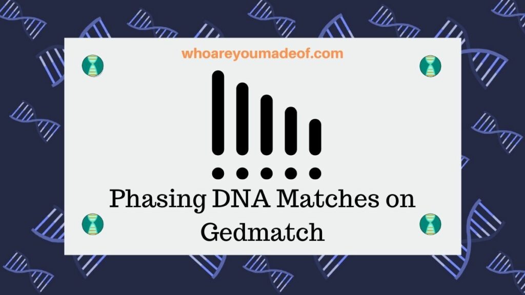 Phasing DNA Matches on Gedmatch featured decorative image