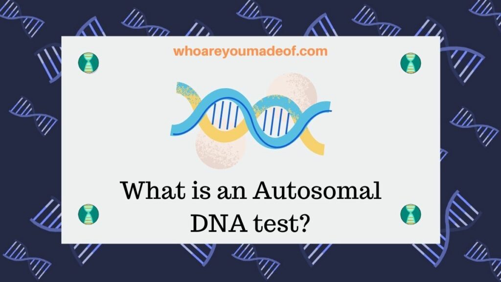 What is an Autosomal DNA test?