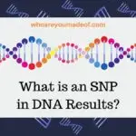 What is an SNP in DNA Results(1)