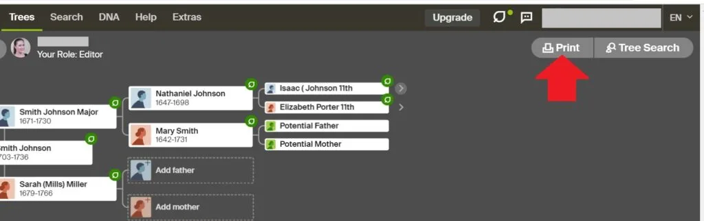 How to print tree view on Ancestry - red arrow points to Print option next to tree search