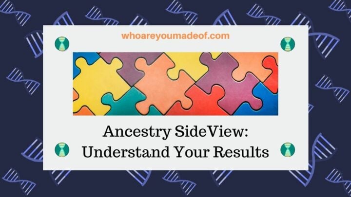 Ancestry SideView Understand Your Results