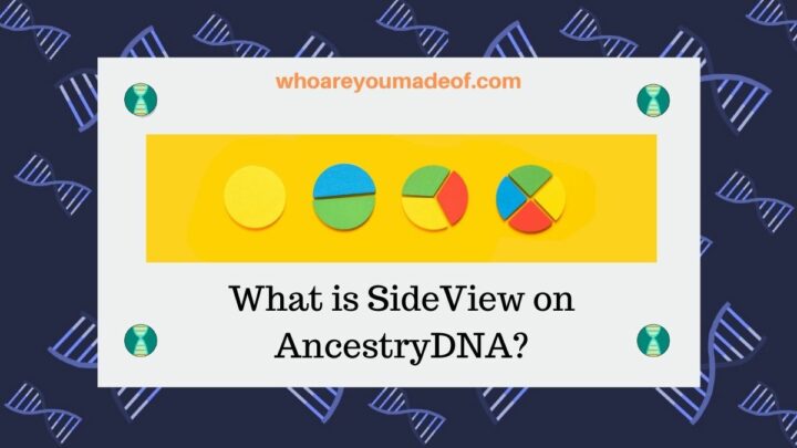 What is SideView on AncestryDNA