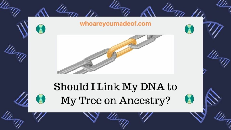 Should I Link My DNA to My Tree on Ancestry? - Who are You Made Of?