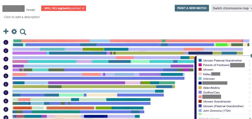 DNA Painter partially completed example, about 34% of this person's DNA has been painted, which means that almost half of their DNA can be traced to a specific ancestor