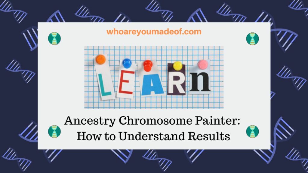 Ancestry Chromosome Painter Feature How to Understand Results