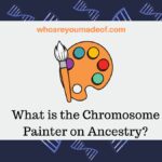 What is the Chromosome Painter on Ancestry