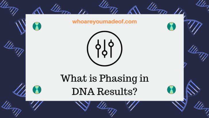What is Phasing in DNA Results?