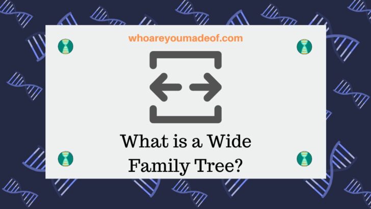 What is a Wide Family Tree