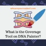 What is the Coverage Tool on DNA Painter?