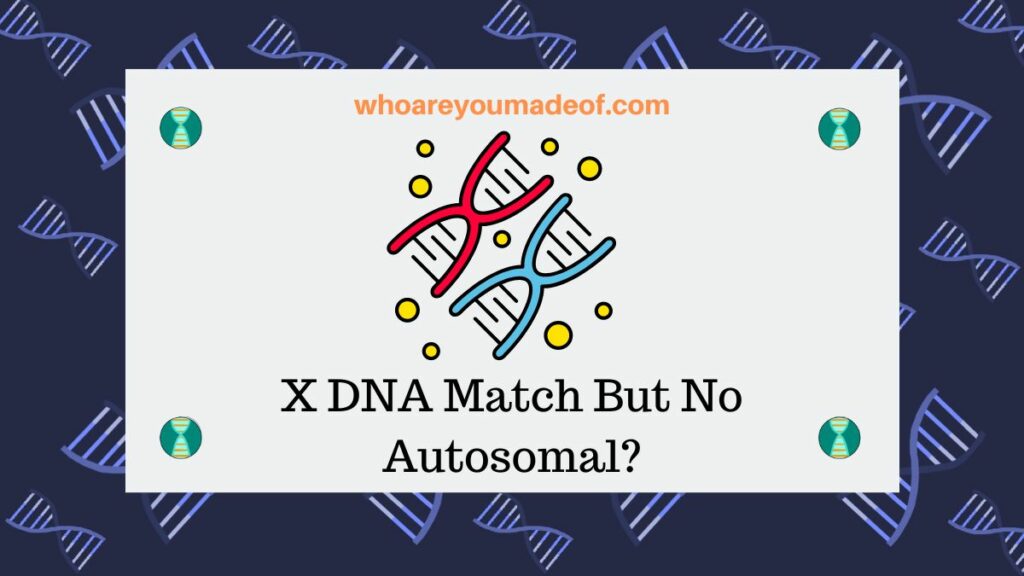 X DNA Match But No Autosomal?