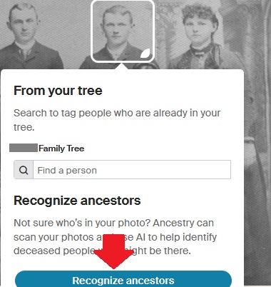 How to use the Ancestry Recognize Ancestors feature