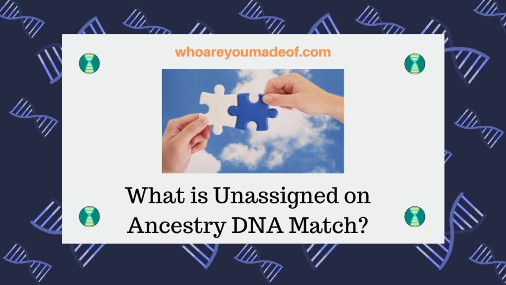 What is Unassigned on Ancestry DNA Match?