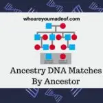 Ancestry DNA Matches By Ancestor