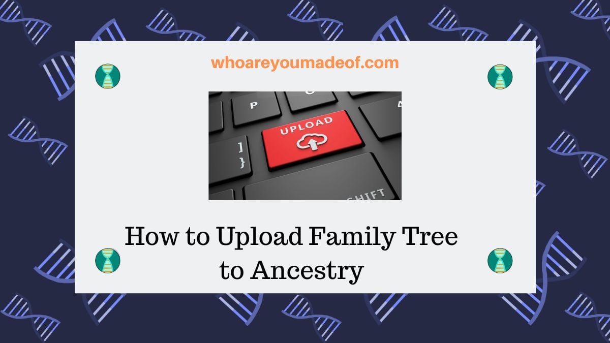 How to Upload Family Tree to Ancestry - Who are You Made Of?