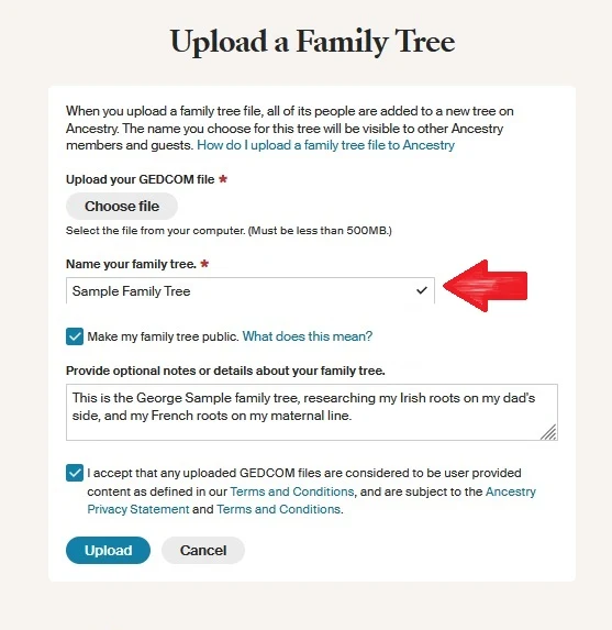 Red arrow pointing to the field where you should write the name of your family tree