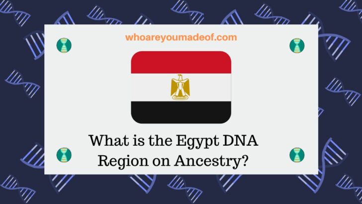 What is the Egypt DNA Region on Ancestry?